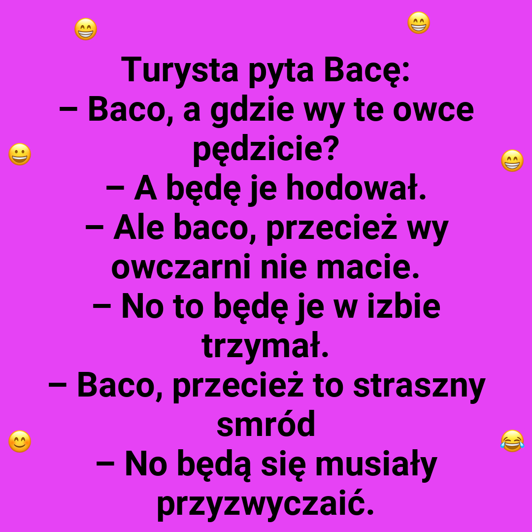 Baca i jego owcze plany!