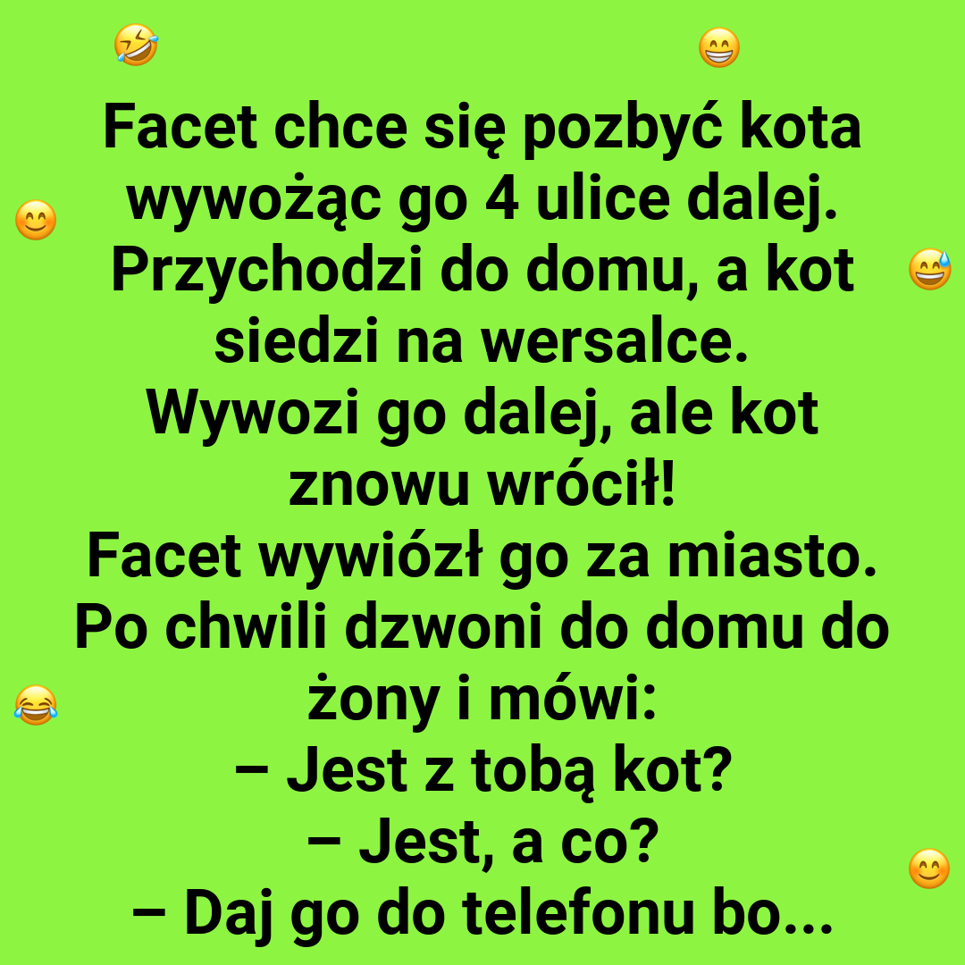 Gdzie kot, tam dom