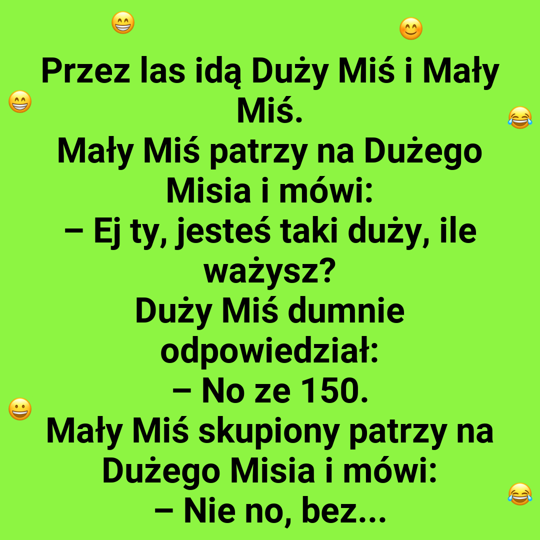Ile waży duży miś
