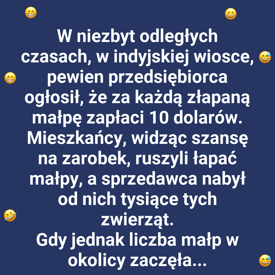 Inwestycja w małpy