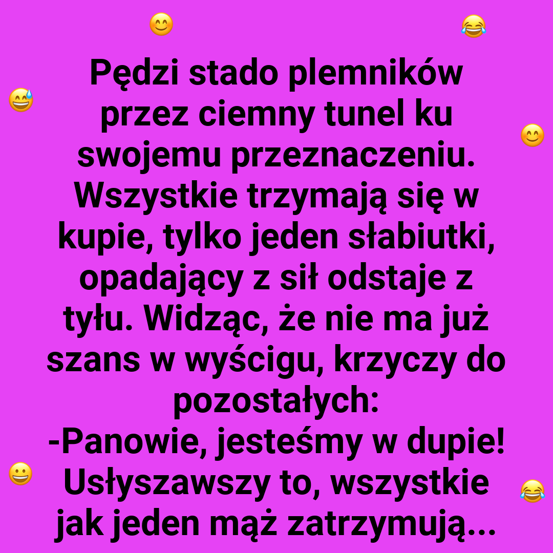 Jak intelektualista przechytrzył resztę