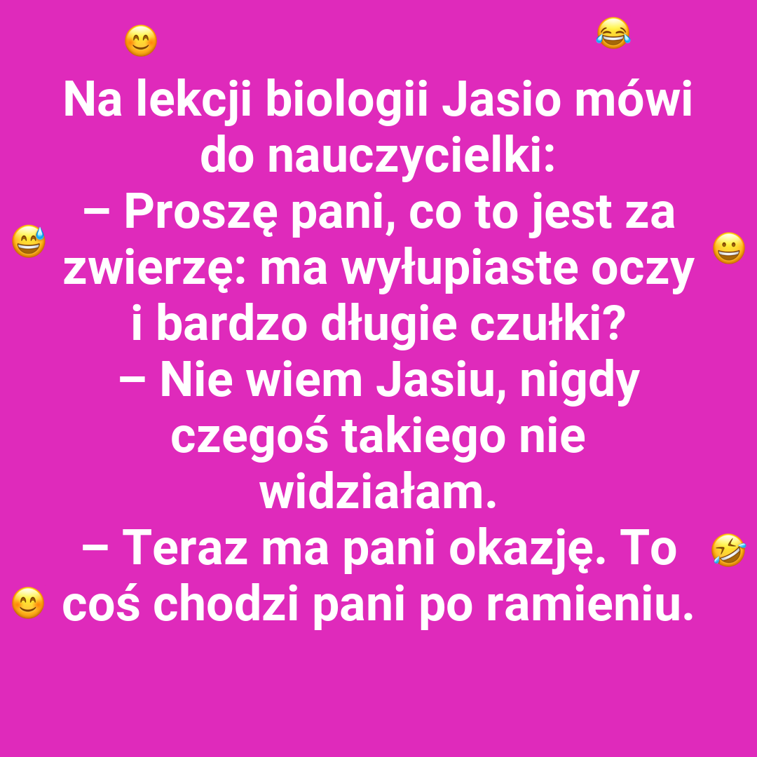 Jasiowe odkrycie