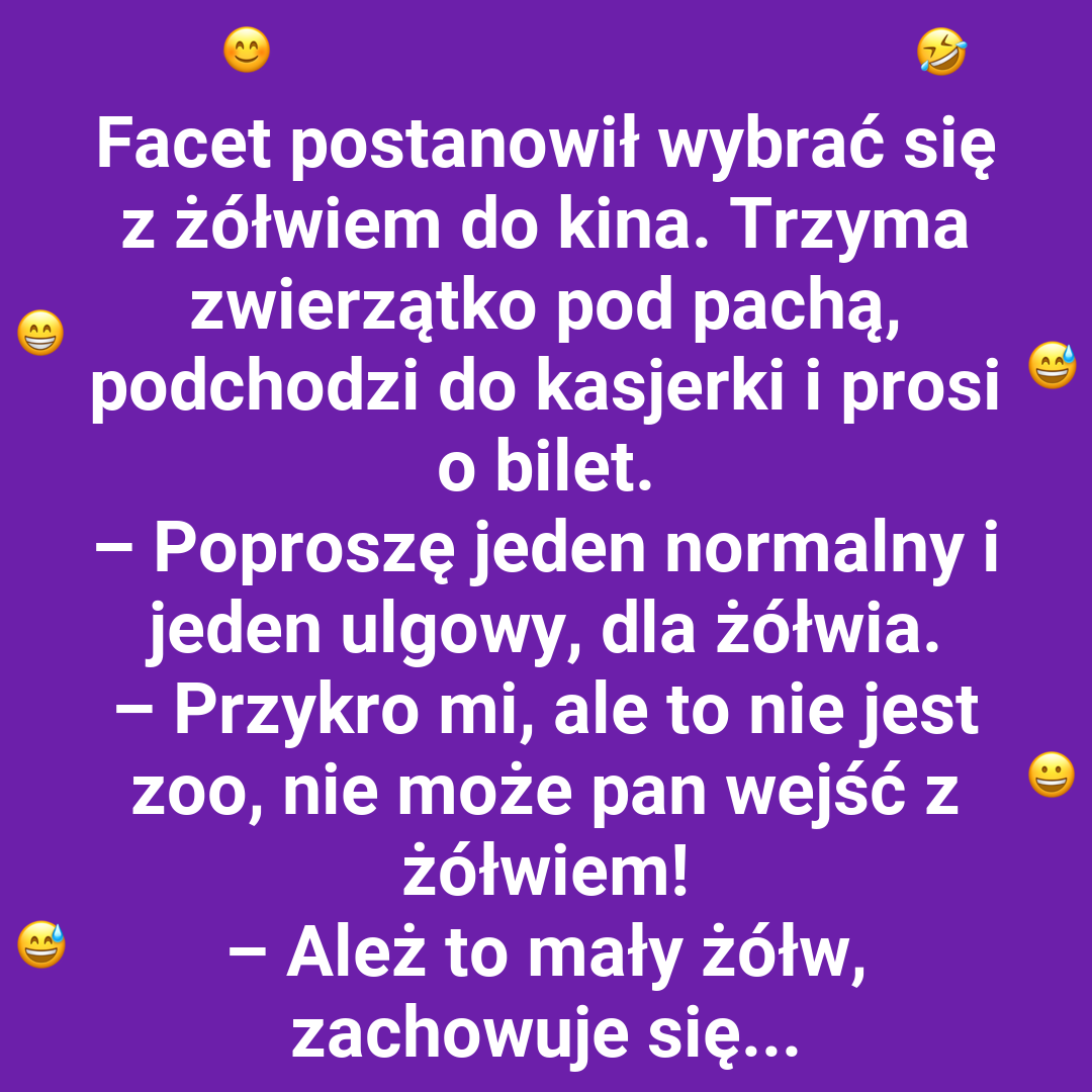 Kino z żółwiem