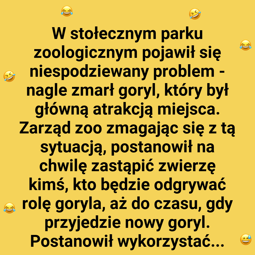 Kłopot w ZOO