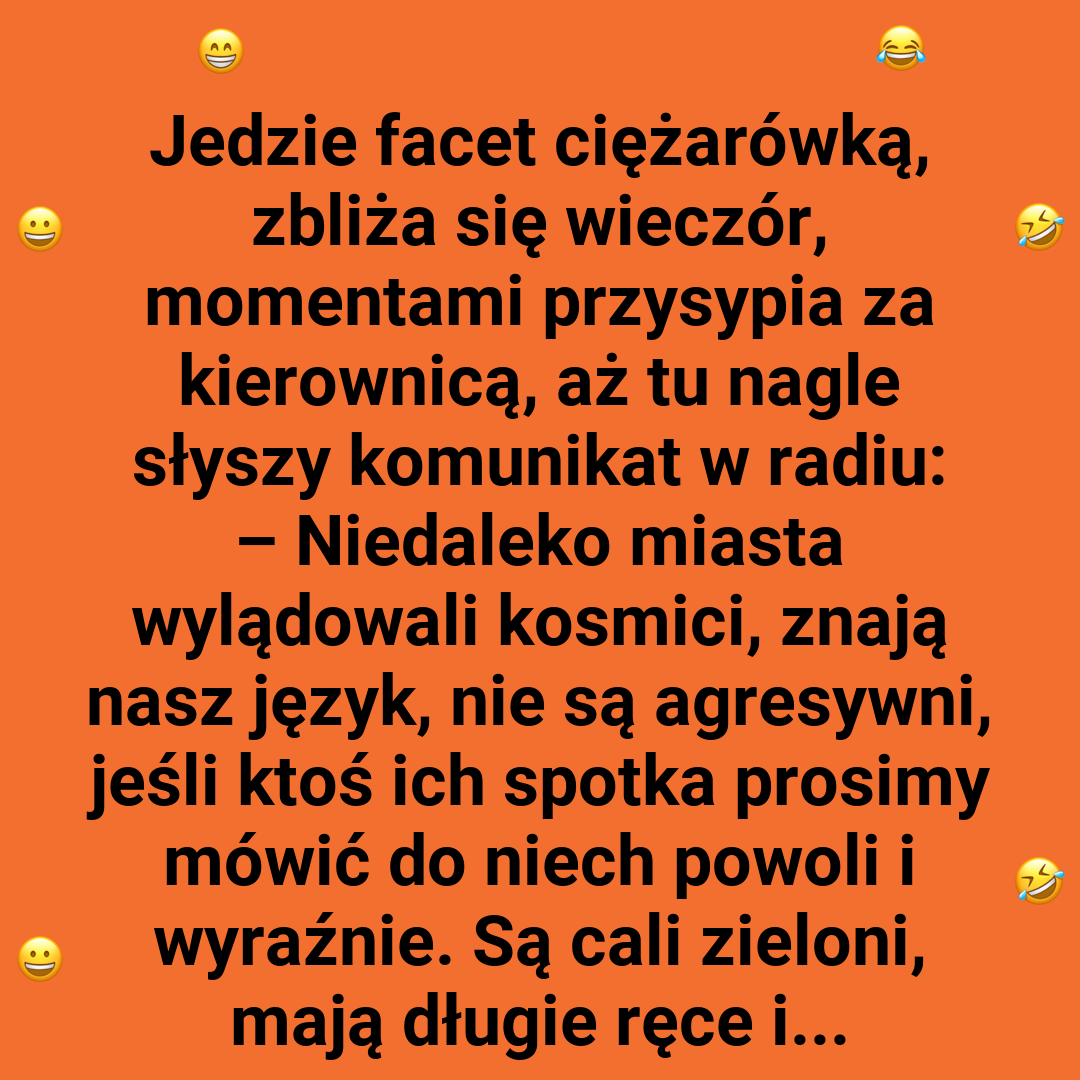 Kosmiczne nieporozumienie na leśnym przystanku
