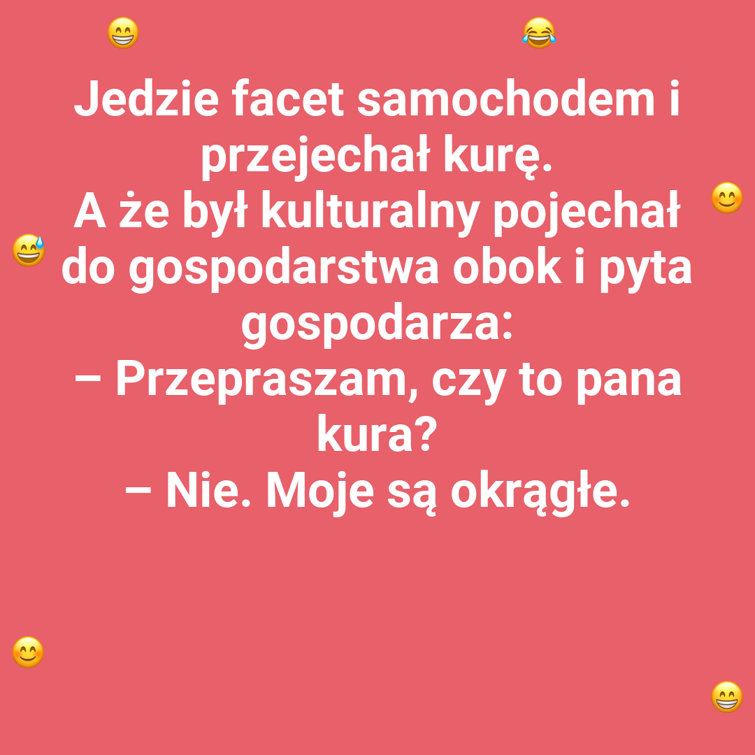 Niezwykłe kury