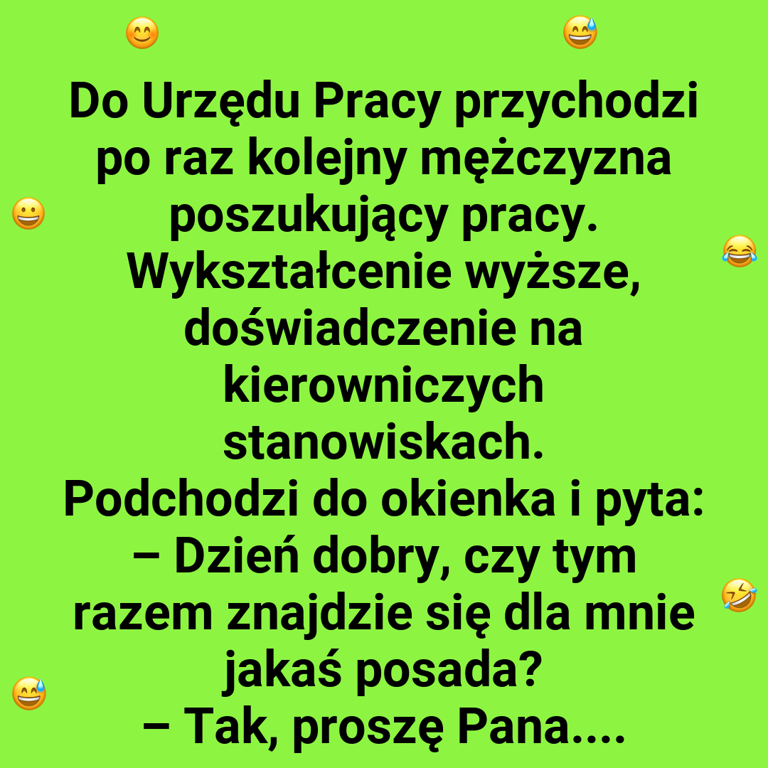 Oferty pracy jak z marzeń