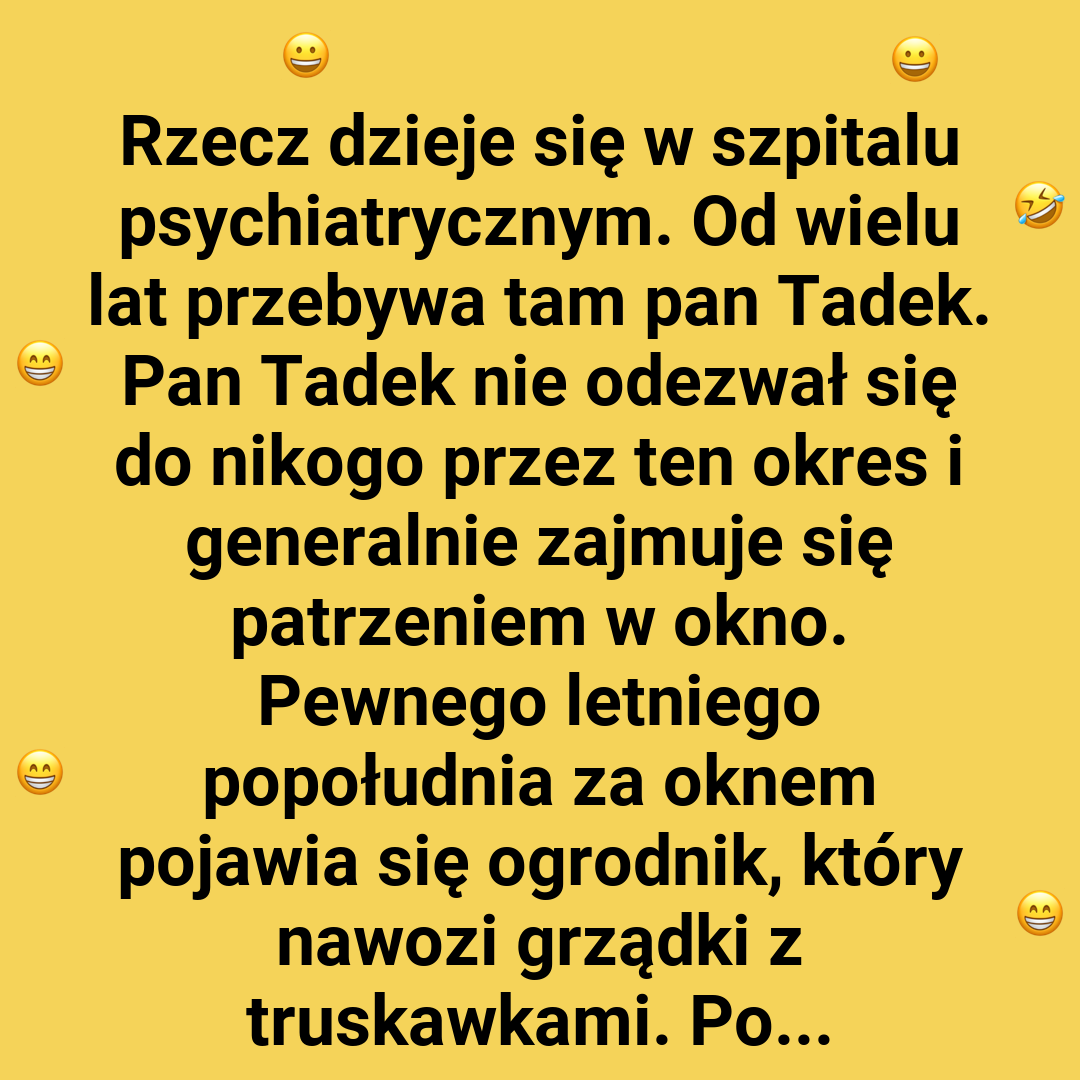 Pan Tadek i jego metoda