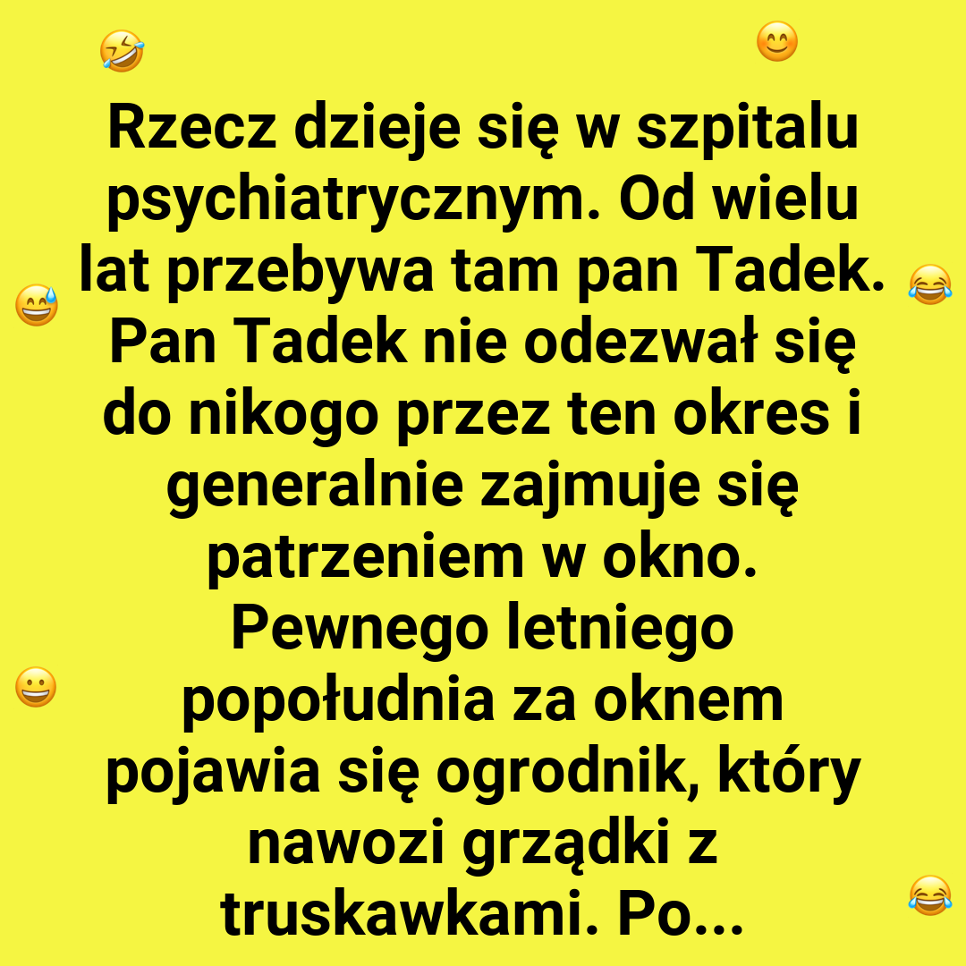 Pan Tadek i jego metoda