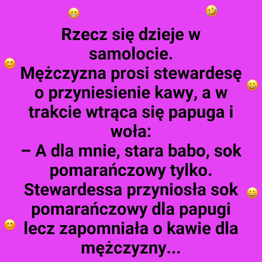 Papuga uczy odwagi – z przestrogą