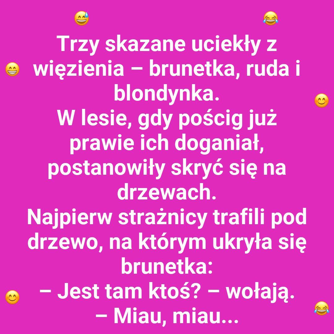 Sprytne kryjówki - blondynka, ruda i brunetka na drzewach
