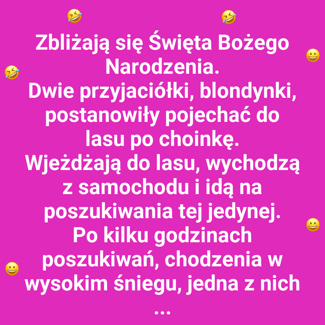 Świąteczna wyprawa