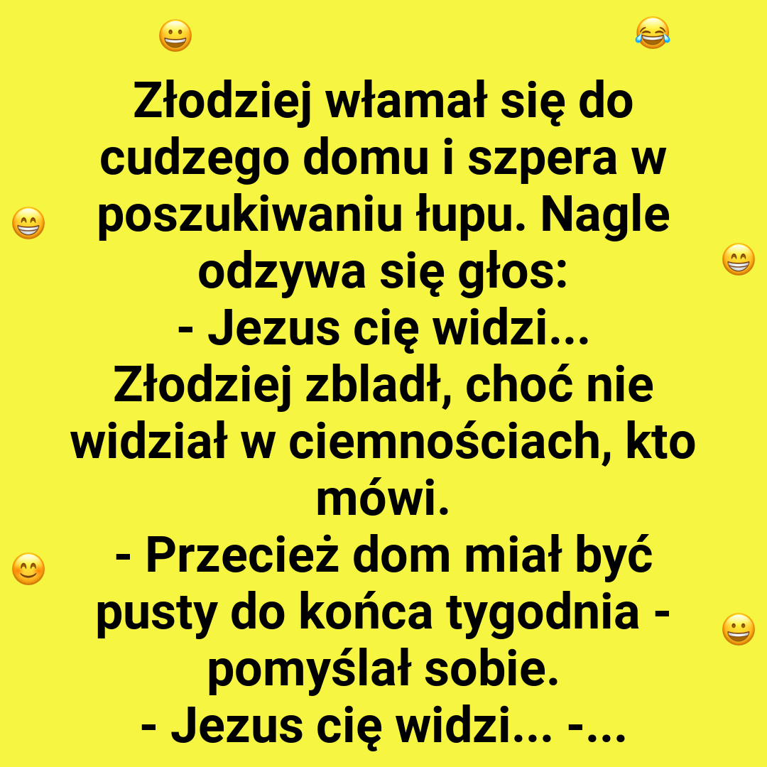Złodziej w tarapatach: papuga i doberman