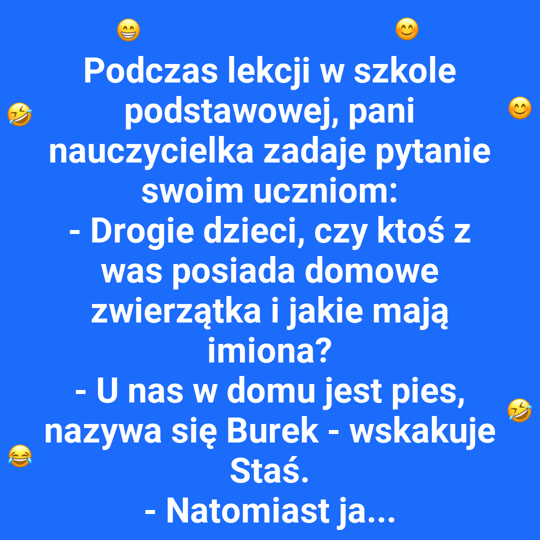 Zwierzęta domowe