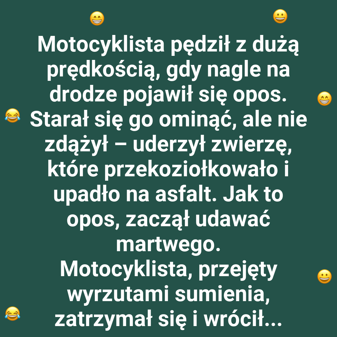 Zwrot akcji w schronisku